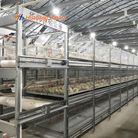 Cage à poulets de type H à 3 niveaux, système d'alimentation automatique robuste, acier galvanisé à chaud, certifié ISO CE