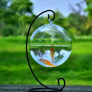 Şeffaf cam küre balık tankı asılı ev balık şişe vazo balık tankı
