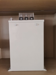 Condensateur shunt de compensation de puissance réactive triphasé 50 Hz/60 Hz 480V basse tension 30kVAR intérieur IP65 - Product Image 5