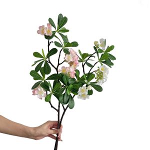 Feuilles artificielles de Pittosporum Yasunobu, fleurs en vase, fleurs en soie blanches et roses, 100 cm-200 cm, décoration d'intérieur - Product Image 5