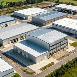 Parque Logístico de Estructura de Acero, Sistema de Construcción de Instalaciones de Almacenamiento Resistentes, Proveedor de Soluciones para Fábricas, Plataforma Entreplantada Resistente al Viento - Product Image 1