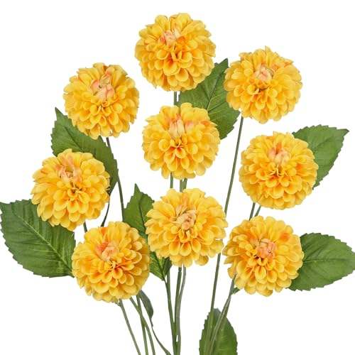 สีเหลือง