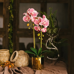 Orchidea di tocco reale del ramo del gambo del fiore artificiale dell'orchidea della farfalla di stampa 3D di alta qualità <span class=keywords><strong>In</strong></span> <span class=keywords><strong>vaso</strong></span> dorato - Product Image 5