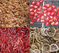 Ce Certificering Wortelplak Dehydrator Machine Voedsel Aardappel Droogmachine Peper Droger Machine