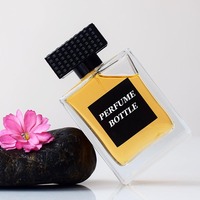 Flacon plat en verre de parfum avec logo personnalisé Base lourde Rectangle à sertir Flacons vaporisateur de parfum en verre de 30ml 50ml 100ml