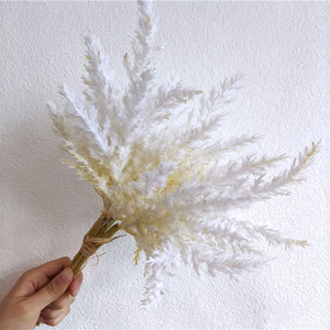 Cỏ Pampas ngắn thân, cỏ Pampas ngắn, hoa khô cỏ Pampas, hoa giả nhỏ - Product Image 3