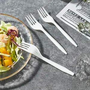 Cucchiaio di plastica eliminabile desechable dei cucchiaini da asporto del ristorante bianco all'ingrosso
