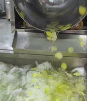 Volledig automatische chips productielijn voor aardappel-, banaan-, zoete aardappel-, taro- en cassavechips; turnkey snackverwerkingslijn