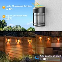 ESRA 55A Mancra Lot de 8 lampes solaires LED pour clôture et terrasse, rechargeables, étanches, pour jardin, extérieur, patio, cour, véranda, allée