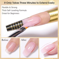 Fournitures en gros OEM/ODM pour ongles : Accessoires adhésifs indolores pour salon, Gel UV de renforcement 56G, Gel dur pour extension d'ongles et Nail Art
