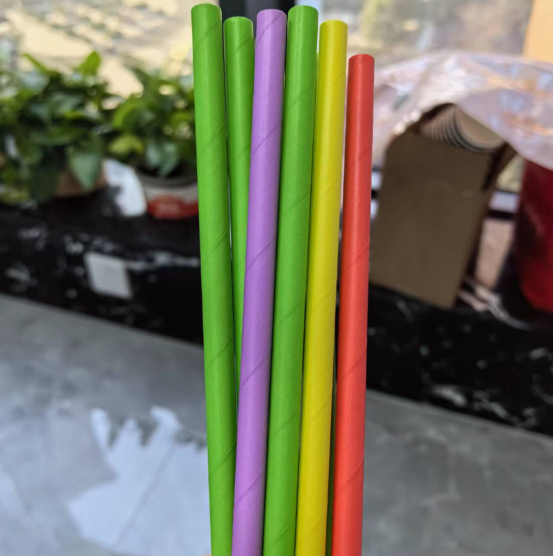 Eco Disposable Funny Drinking Straws 100