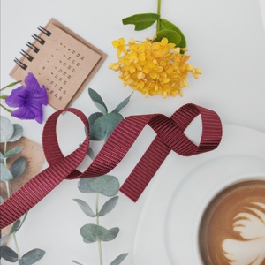 Correa de nailon no elástica tejida de 19mm personalizada, banda suave antideslizante para pantalones, bolsa de regalo, ropa interior, textiles para el hogar con cinturón con logotipo impreso - Product Image 3