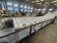 Hoge Efficiëntie 304 RVS Frites- en Aardappelchips Blancheringsmachine voor Fruit & Groenten Prijs