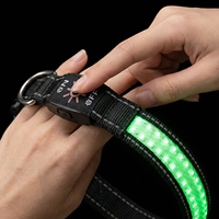 Collier lumineux pour chien personnalisé, rechargeable par USB, réglable, clignotant, LED, 12 heures d'autonomie, en nylon maillé, imperméable
