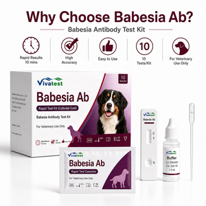 Kit de test rapide Babesia Ab pour chiens, détection sanguine des maladies transmises par les tiques chez les animaux, certifié CE Viviatest - Product Image 4