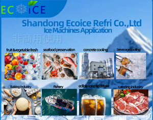 Machine à glace pilée commerciale <span class=keywords><strong>de</strong></span> machine à glaçons <span class=keywords><strong>de</strong></span> <span class=keywords><strong>flocon</strong></span> d'eau douce et d'eau salée pour des restaurants <span class=keywords><strong>de</strong></span> fruits <span class=keywords><strong>de</strong></span> mer et l'industrie <span class=keywords><strong>de</strong></span> pêche - Product Image 3