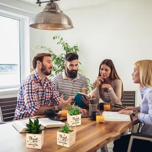 12 macetas cuadradas de <span class=keywords><strong>madera</strong></span>. Adecuado para pequeñas plantas suculentas en <span class=keywords><strong>madera</strong></span>. Ideal para enfermeras, trabajadores de oficina y profesores. - Product Image 2