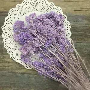Flores artificiales preservadas, decoración para el hogar, boda, <span class=keywords><strong>Edelweiss</strong></span>, crisantemo - Product Image 5