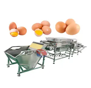 2700pcs/h-10800pcs/h liquid egg processing machine line egg white yolk separating machine