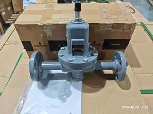 <span class=keywords><strong>Fisher</strong></span> mr95h נירוסטה לחץ מסנן mr95 95l 95h mr98 h mr98 לחץ ישיר הפחתת שסתום ויסות - Product Image 3