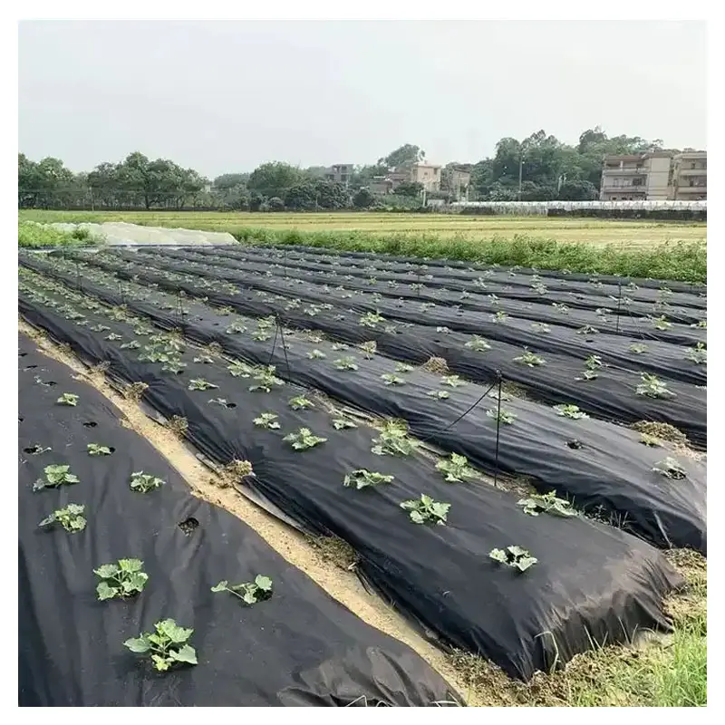 Hot sale 100% PP non woven weed mulch mat weed barrier fabric heavy duty
