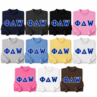 Sweat-shirt à col rond en chenille brodé sur mesure avec application de trois lettres grecques pour cadeau d'initiation universitaire ou de fraternité