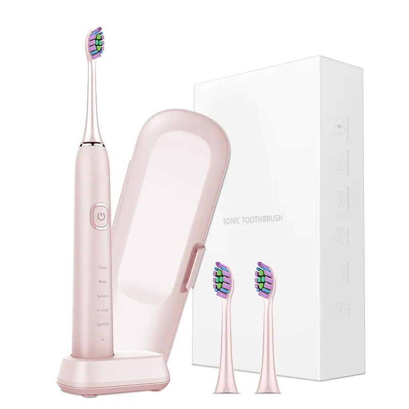 Brosse à dents électrique rechargeable de blanchiment des dents automatique adulte avec logo OEM vente en gros