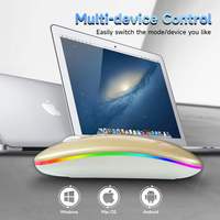 Ratón Ergonómico Inalámbrico Recargable de Modo Dual RGB Bluetooth, Ratón Bluetooth RGB Ultrafino, Ratón Silencioso para Computadora