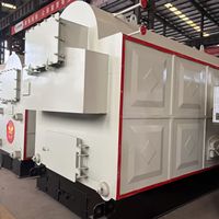 Chaudière à vapeur de centrale électrique de 16 tonnes alimentée à la biomasse DZH2-1.25