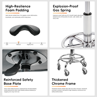 Tabouret de toilettage Shernbao GC-002S avec roulettes anti-cheveux, rotation à 360° °   Chaise Selle Pivotante et Réglable pour Salons de Beauté et Soins des Animaux OEM