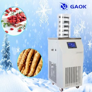 Lyophilisateur Électrique à Chaleur <span class=keywords><strong>par</strong></span> Convection, Matériau SUS304, 1300W AC220V, Piège à Froid -60°C/-80°C, 2PA, pour la Transformation Alimentaire de Pointe - Product Image 1