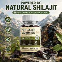 Gummies de Shilajit à Marque Blanche OEM 1000mg Sans Sucre à Base de Plantes Supplément de Shilajit de l'Himalaya pour l'Énergie et la Concentration 60 Comprimés