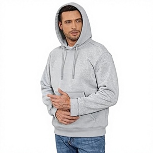 Men's 100% Cotton 300gsm <b>Blank</b> Heavy <b>Weight</b> Thick Printing logo Regular V-neck Lined Windproof Waterproof Hoodies Sweatshirt - Product Image 1