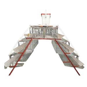 Jaula Especial de Calidad para Cría: Equipos para Granjas Avícolas para Uso en Gallineros - Product Image 3