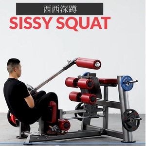 <span class=keywords><strong>Inverse</strong></span> Leg Curl & Hip Quad Machine Commerciële Gymapparatuur Sterkte Machine Multi Functionele Fitness - Product Image 4