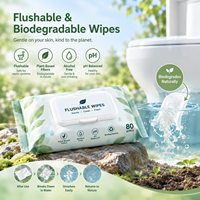 Lingettes jetables biodégradables à formule personnalisée, lingettes humides écologiques, lingettes de nettoyage, usine OEM ODM