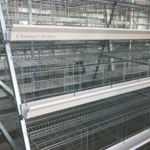 Nouvelle cage à batterie en acier alliage zinc-aluminium-magnésium de marque CHUANGYI, longue durée de vie, pour l'élevage avicole, en forme de A, pour poules pondeuses - Product Image 6