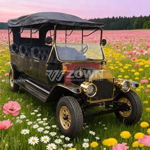 Coche Eléctrico Turístico Negro Vintage con Decoración Dorada para Servicio de Recorridos en Sitios Turísticos - Product Image 3