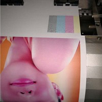 Impresoras Plotter Roland Usadas con Tinta Eco Solvente RS-640