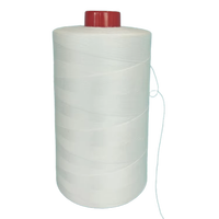 Couleur blanche de qualité supérieure 40S/2 500g 100% fil à coudre filé en polyester