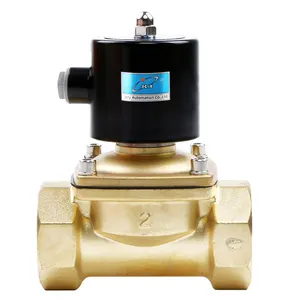 12V 24V 220V 2 inch Big Size 2W500-50 Normally Closed Electric Water Brass Solenoid Valve For Air Gas