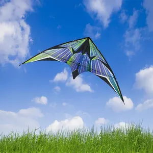 factory dual line power kite sale sport flying stunt kites parafoil kite manufacturers