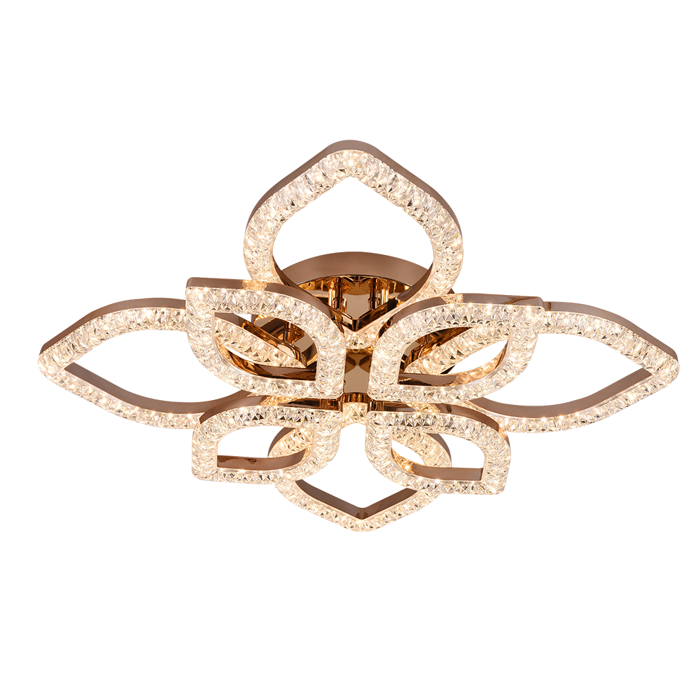 ตามที่แสดงในรูป