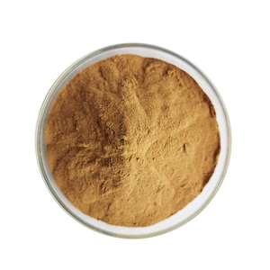 Food Grade Sheep <strong>Sorrel</strong> Extract <strong>Rumex</strong> Acetosa Extract Powder <strong>Rumex</strong> Acetosella Powder - Product Image 3