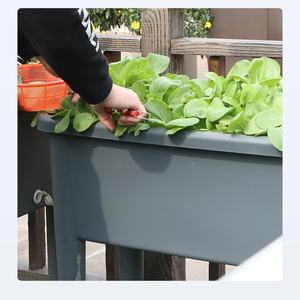 Fourniture directe d'usine grandes boîtes de plantation de balcon en plastique rectangulaires <span class=keywords><strong>à</strong></span> profil bas culture de légumes plateaux de pépinière couvercles - Product Image 4