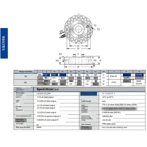 เครื่องชั่งน้ำหนัก VEIDT สำหรับเครื่องทดสอบการส่งกำลังแบบ Transcell ในสหรัฐอเมริกา ใช้โหลดเซลล์แบบฮับรุ่น PTST-50T และ PTST-100T พีทีเอสที เวิดท์ วี - Product Image 4