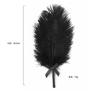 Jouets sexuels pour couples SM, jeux de rôle, flirt, taquinerie, bâtonnet à plumes, fessée, stimulation, taquinerie - Product Image 3