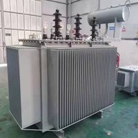 Transformateur extérieur anti-corrosion 630 kVA~2500 kVA refroidi à l'huile, noyau CRGO S13, norme IEC, conception personnalisée pour centrale électrique