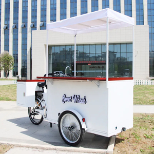 Vélos électriques OEM de tricycle de crème glacée vélos électriques de tricycle de congélateur chariot de nourriture de cargaison vélo solaire de crème glacée avec la batterie - Product Image 1