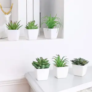 Venta caliente suculentas macetas de bonsái decoración del hogar INTERIOR PLANTAS DE PLÁSTICO simuladas artificiales